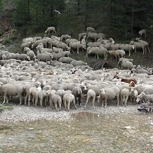 La Sauvanière Menée